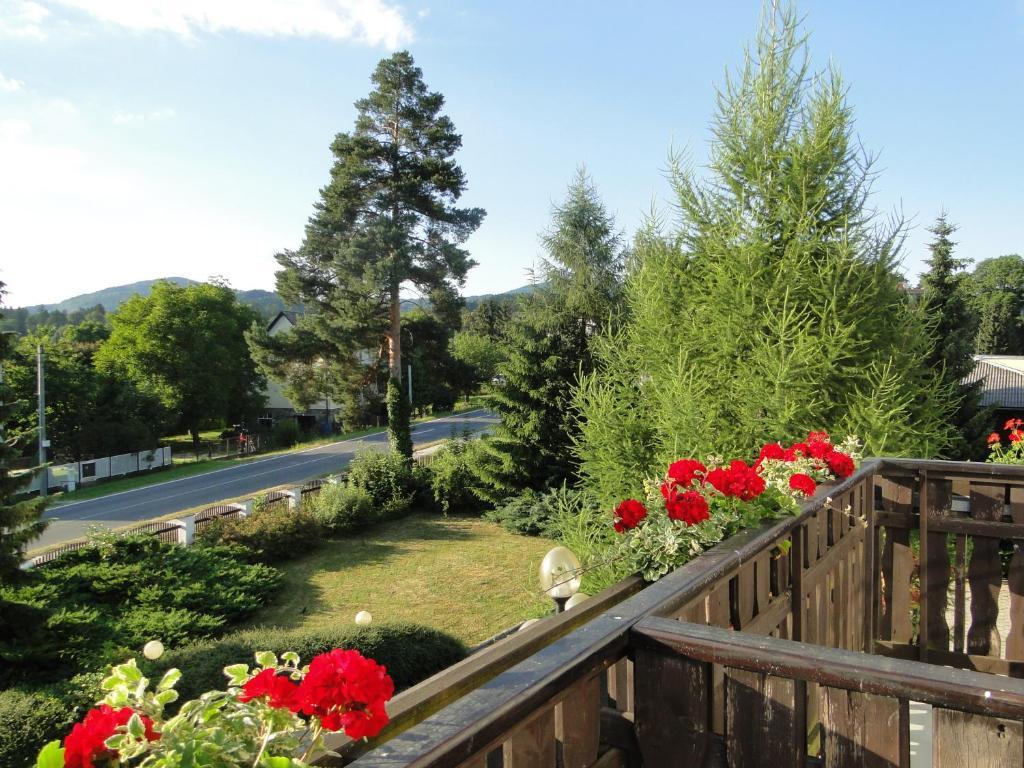 Villa Žerotín Penzion Bed&Breakfast Velké Losiny Exteriér fotografie